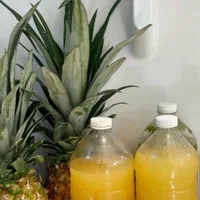 پخش عمده آبمیوه طبیعی آب انار زغال اخته آلبالوزرشک|عمده‌فروشی|تهران, نازی‌آباد|دیوار