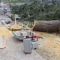 خرید چوب وبرش شاخه زنی|خدمات باغبانی و درختکاری|ارومیه, |دیوار