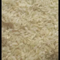 برنج کامفیروز235و حبوبات