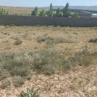 زمین باغ شهری بین کودیان و قرچمن