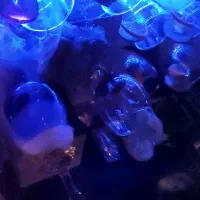 بارمن مجالس|خدمات پذیرایی، مراسم|مشهد, چهارچشمه|دیوار