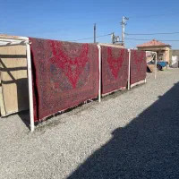 قالیشویی تخصصی طهران|خدمات نظافت|زاهدان, |دیوار