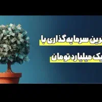 سرمایه گذار به مبلغ ۱ میلیارد تومانی