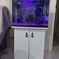 آکواریوم شرکتی ۵۰لیتری کامل