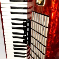 آکاردئون والت مستر آلمانی ۹۶ باس