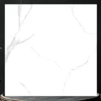 سرامیک در ابعاد ۸۰در۸۰ براق و ۱۰۰ در ۱۰۰