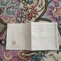 چک گمشده