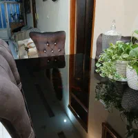 میز ناهارخوری درحد نو ۶ نفره|میز و صندلی غذاخوری|بندر انزلی, سوسر|دیوار