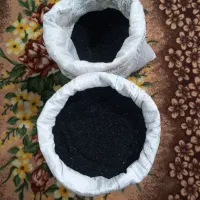 پیاز مینروا