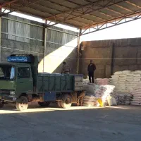 کود سفید کود شیمیایی