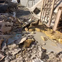 مرغ و خروس مینیاتوری