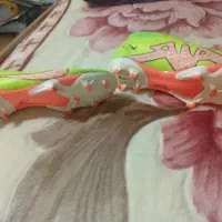 کفش چمن نایک تخفیف داده میشود|کیف، کفش، کمربند|تهران, شاهین|دیوار