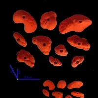 به چند نفر فایبرگلاس کار وکارگرساده نیازمندیم