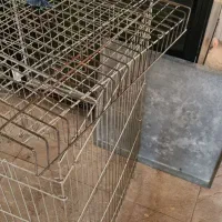 سینی پلاستیکی فلافل و لوازم دیگر|ظروف پختوپز|ری, علایین|دیوار