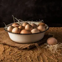 تخم مرغ محلی مرغ سیاه تولید روز زیر قیمت