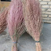 مرغوبترین جارومحلی قرمز وتازه
