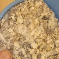 الیاف پنبه دانه