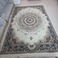 فرش و پالاز موکت|فرش|جم, |دیوار