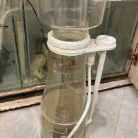 اکواریوم ابشور