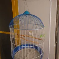 قفس پایه دار پرنده