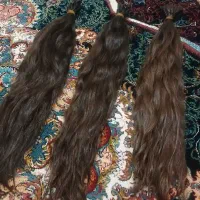 کوتاهی مو با پرداخت آنی و قیمت بالا