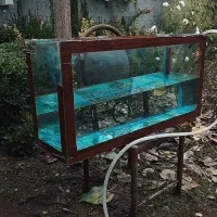 آکواریوم سالم|ماهی|رشت, شهرک صبا|دیوار