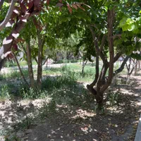 باغ ویلا 950متر / استخر جکوزی /شاهنامه 36|فروش خانه و ویلا|مشهد, چهاربرج|دیوار