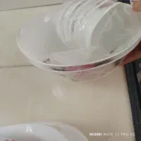 چینی آرکوپال|ظروف سرو و پذیرایی|پاکدشت, پارچین|دیوار