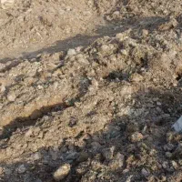کود کمپوست قارچ  استفاده شده|خدمات باغبانی و درختکاری|اصفهان, سرشبادران|دیوار