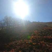 زمین کشاورزی