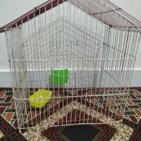 قفس پرنده