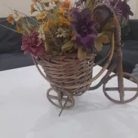گاری گل فروش فوری