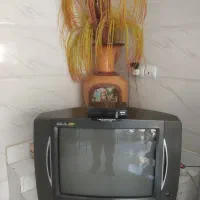 تلویزیون|تلویزیون و پروژکتور|قدس, شهرقدس|دیوار