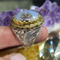 شجر|جواهرات|خرم‌آباد, |دیوار