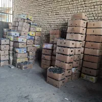 زغال طاق قهوه خانه 235.000 (ویژه وسوپر ویژه)