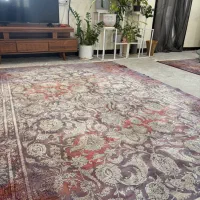 فرش خاطره کاشان|فرش|دوگنبدان, |دیوار