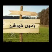 زمین زیتون ۲۰۰متری