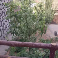 اجاره خانه باغ روزانه طزرجان