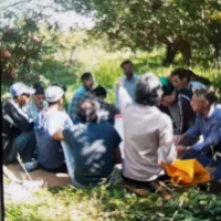 اکیپ کارگر داریم برای باغ و مزرعه