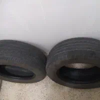 یک جفت تایر کویر ۱۴