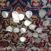 سکه قدیمی|کلکسیون سکه، تمبر، اسکناس|بجنورد, |دیوار