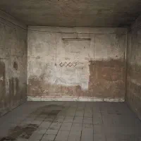 مغازه واقع در زینبیه