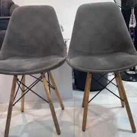 صندلی|آرایشگاه و سالنهای زیبایی|بندر انزلی, نوروزی|دیوار