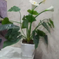 گل مصنوعی