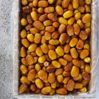 رطب|عمده‌فروشی|جهرم, |دیوار