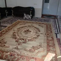 دو عدد گلیم ۹ متری تمیز بدون زدگی|گلیم، جاجیم، گبه|آبدانان, |دیوار