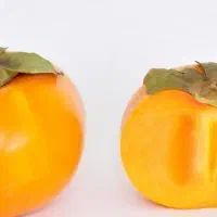 پیشفروش نهال خرمالو فویو دوساله|خدمات باغبانی و درختکاری|گهواره, |دیوار