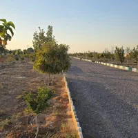 باغچه ۵۰۰متری ۵۰۰ملیون سند تک برگ|فروش دفتر صنعتی، کشاورزی، تجاری|تهران, نعمتآباد|دیوار