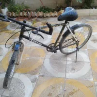 دوچرخه 26 اصل دماوند|دوچرخه، اسکیت، اسکوتر|تربت‌حیدریه, منظر|دیوار