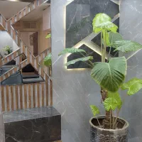 جشنواره فروش سرامیک آغاز شد